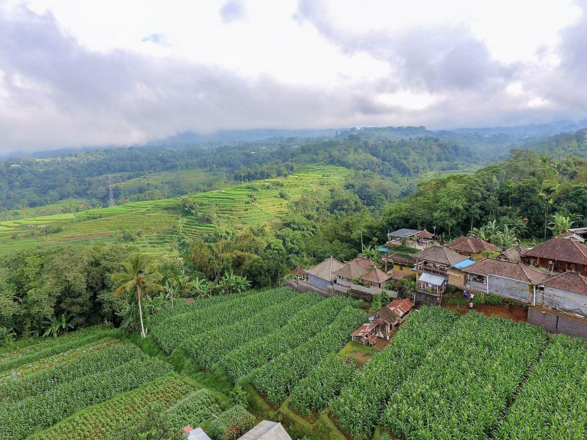 Pondok Nyoman Bedugul By Agata Экстерьер фото