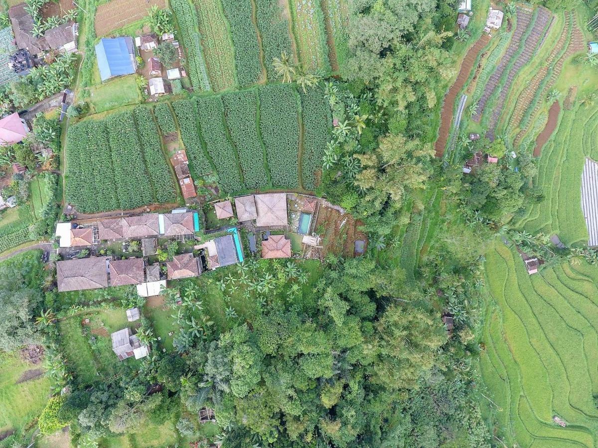 Pondok Nyoman Bedugul By Agata Экстерьер фото